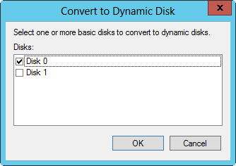 Select the disk to convert.