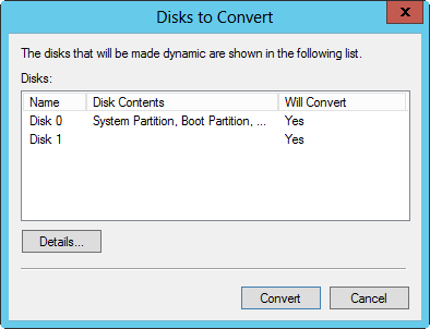 Confirm that the disk can be converted.